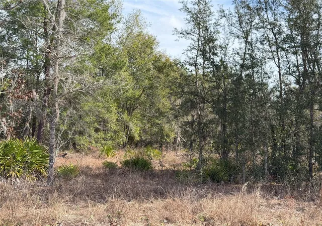 Photo 4 of Single family home for sale at 16426 Courlan Rd, Weeki Wachee, FL 34614 | MLS# TB8471069 | Listing updated on 2026-09-30