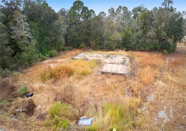 Photo 3 of Land for sale at 1443 Tern Ct, Kissimmee, FL 34759 | MLS# O6378720 | Listing updated on 2026-06-15