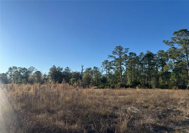Photo 2 of Land for sale at 1303 Hamilton Ave, Lehigh Acres, FL 33972 | MLS# A4680816 | Listing updated on 2026-02-25