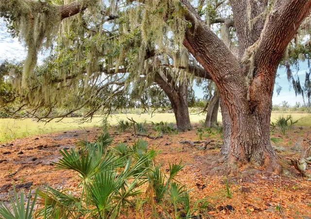 Photo 3 of Land for sale at 0 Carlton Lake Rd, Wimauma, FL 33598 | MLS# TB8471512 | Listing updated on 2026-04-07