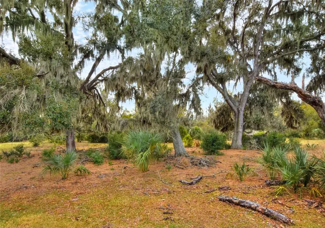 Photo 4 of Land for sale at 0 Carlton Lake Rd, Wimauma, FL 33598 | MLS# TB8471512 | Listing updated on 2026-04-07