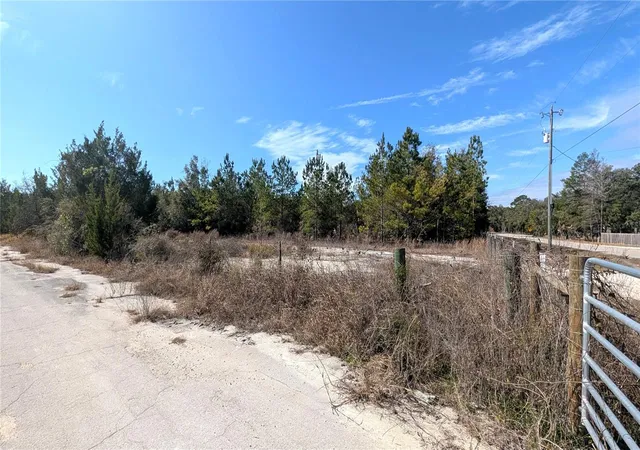 Photo 3 of Land for sale at 13550 Nw Old Fannin Rd, Chiefland, FL 32626 | MLS# OM717918 | Listing updated on 2026-03-03