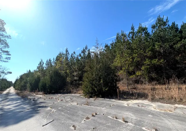 Photo 4 of Land for sale at 13550 NW Old Fannin Rd, Chiefland, FL 32626 | MLS# OM717918 | Listing updated on 2026-03-03