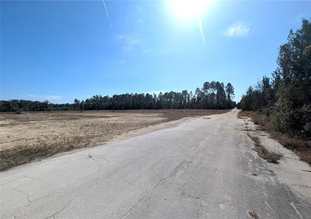 Photo 3 of Land for sale at 13550 NW Old Fannin Rd, Chiefland, FL 32626 | MLS# OM717918 | Listing updated on 2026-03-03