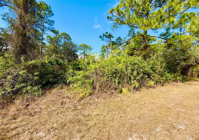Photo 1 of Land for sale at 2007 Truman Ave, Alva, FL 33920 | MLS# C7521391 | Listing updated on 2026-02-04