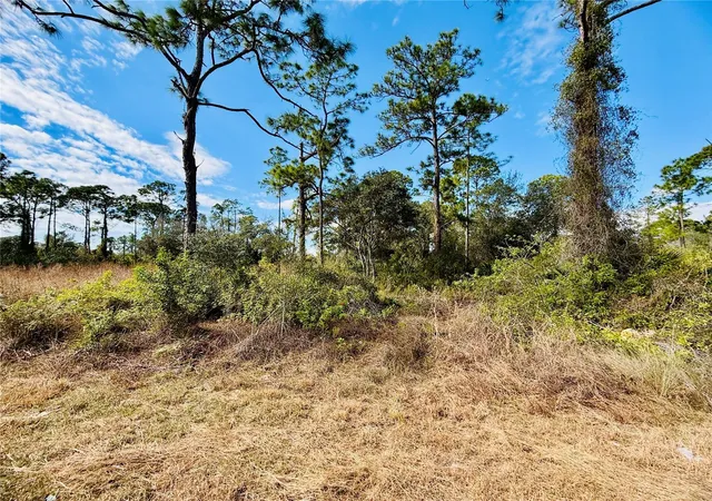 Photo 2 of Land for sale at 2007 Truman Ave, Alva, FL 33920 | MLS# C7521391 | Listing updated on 2026-02-04