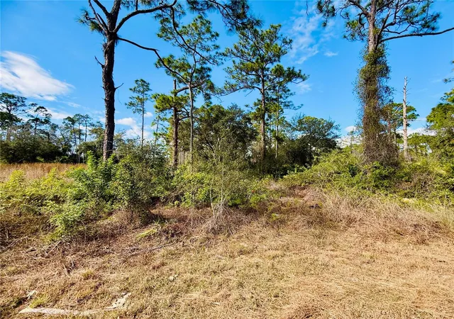 Photo 3 of Land for sale at 2007 Truman Ave, Alva, FL 33920 | MLS# C7521391 | Listing updated on 2026-02-04