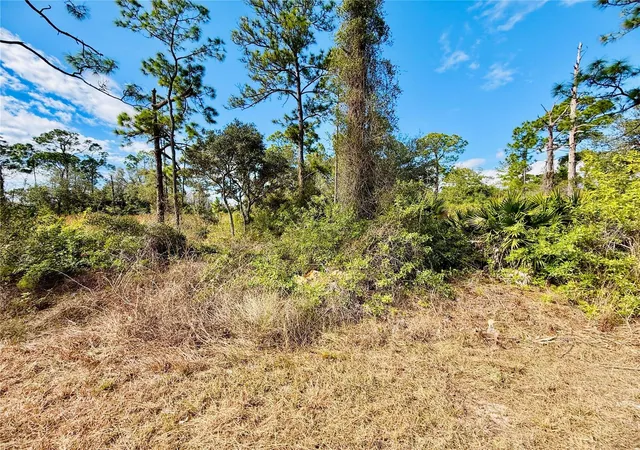 Photo 3 of Land for sale at 2007 Truman Ave, Alva, FL 33920 | MLS# C7521391 | Listing updated on 2026-02-04