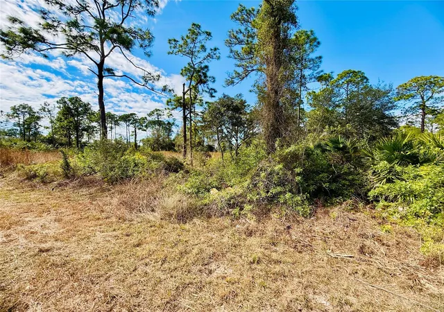 Photo 4 of Land for sale at 2007 Truman Ave, Alva, FL 33920 | MLS# C7521391 | Listing updated on 2026-02-04