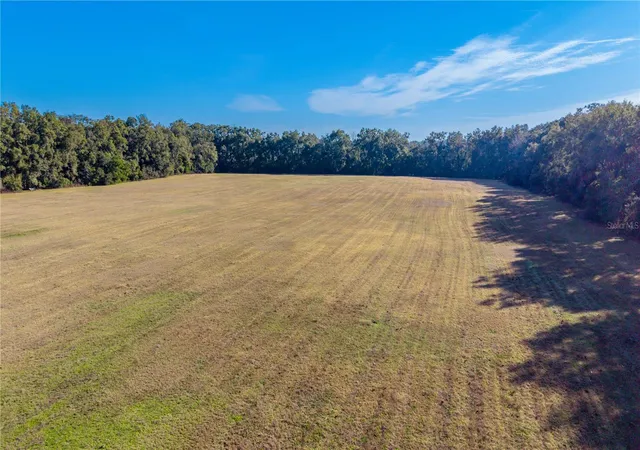 13th image of 0000 Sw 202 St, Newberry, FL 32669 | MLS# GC537170