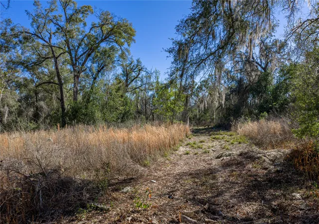 Photo 10 of Land for sale at 00 Rowntree Dr, Dade City, FL 33523 | MLS# TB8471989 | Listing updated on 2026-08-31