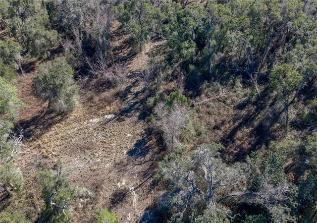 Photo 14 of Land for sale at 0 Rowntree Dr, Dade City, FL 33523 | MLS# TB8471994 | Listing updated on 2026-08-31