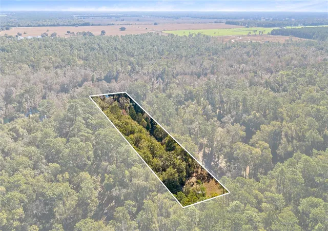 Homes for sale in Dunnellon, FL | 10377 Sw 186Th Ave, Dunnellon, FL 34432 | MLS# OM717995