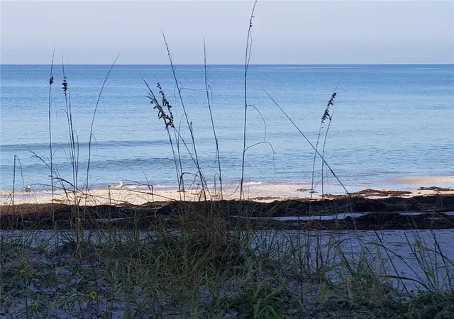 5th image of 60 Gulf Blvd, Indian Rocks Beach, FL 33785