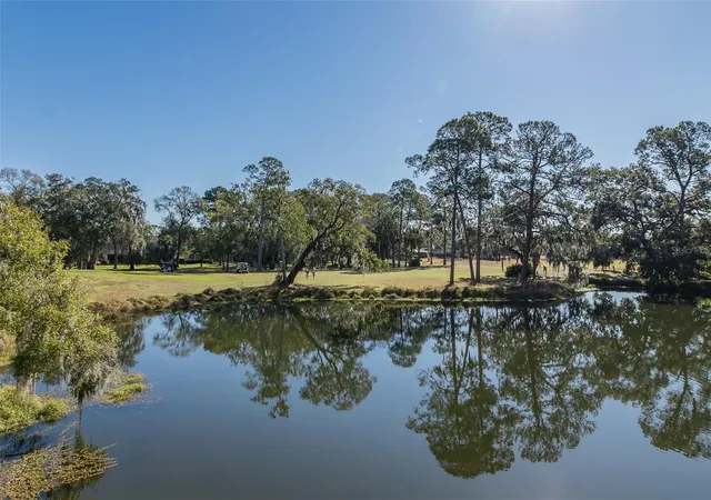 4th image of 2676 Tanglewood Trl, Palm Harbor, FL 34685 | MLS# TB8472353
