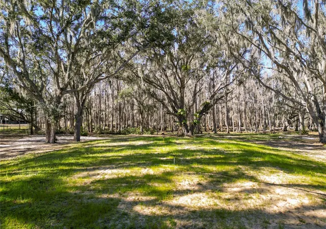 63rd image of 7405 Shoupe Rd, Plant City, FL 33565 | MLS# L4959144