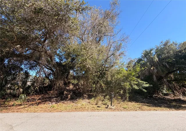 Photo 3 of Land for sale at 384 Skyland Ln, Port Charlotte, FL 33953 | MLS# D6145980 | Listing updated on 2026-10-15