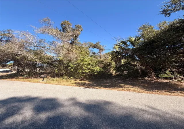 Photo 4 of Land for sale at 384 Skyland Ln, Port Charlotte, FL 33953 | MLS# D6145980 | Listing updated on 2026-10-15