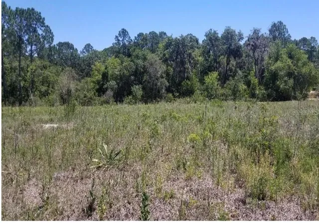 Photo 1 of Land for sale at 316 Bass Ln, Kissimmee, FL 34759 | MLS# S5143130 | Listing updated on 2026-08-01