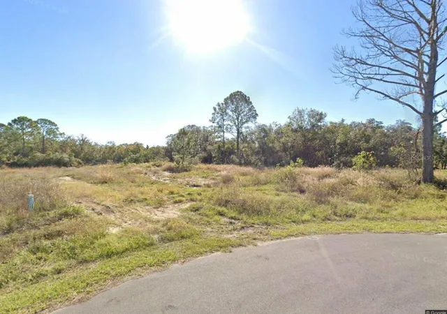 Photo 2 of Land for sale at 316 Bass Ln, Kissimmee, FL 34759 | MLS# S5143130 | Listing updated on 2026-08-01