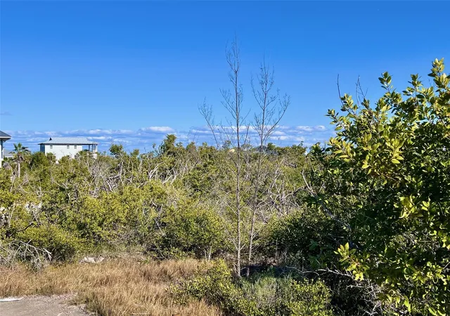 image of 9574 Buccaneer Trl, Placida, FL 33946 | MLS# D6145986