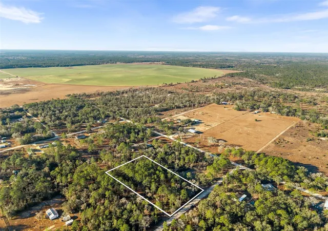 Photo 1 of Land for sale at 0 Ne 121st Avenue, Williston, FL 32696 | MLS# GC537233 | Listing updated on 2026-02-08
