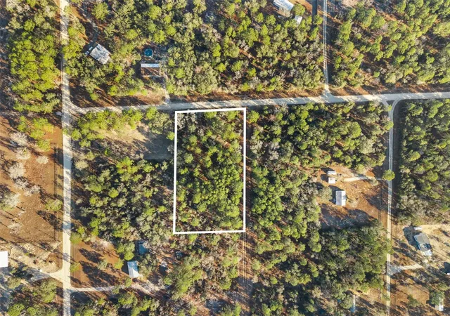Photo 2 of Land for sale at 0 Ne 121st Avenue, Williston, FL 32696 | MLS# GC537233 | Listing updated on 2026-02-08