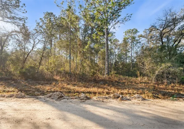 Photo 3 of Land for sale at 0 NE 121st Avenue, Williston, FL 32696 | MLS# GC537233 | Listing updated on 2026-02-08