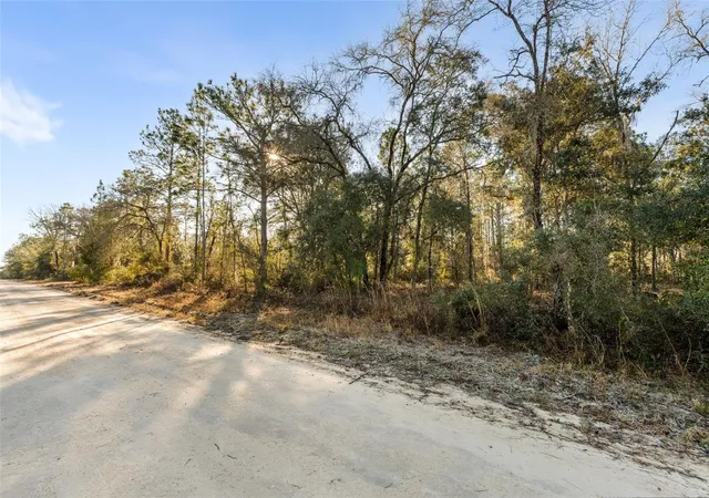 Photo 4 of Land for sale at 0 NE 121st Avenue, Williston, FL 32696 | MLS# GC537233 | Listing updated on 2026-02-08
