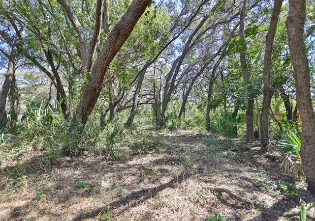 10th image of 1971 Wolford Rd, Clearwater, FL 33760 | MLS# TB8472662