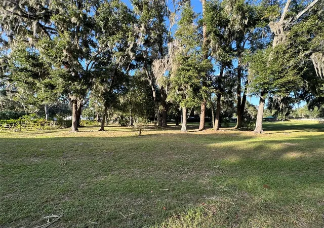 Photo 3 of Land for sale at 0 W Highway 318, Citra, FL 32113 | MLS# OM718125 | Listing updated on 2026-02-05