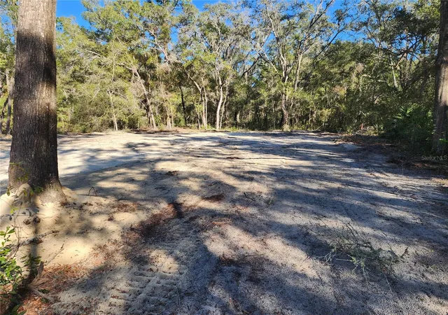 28th image of 7513 W Dunklin St, Dunnellon, FL 34433 | MLS# OM718231