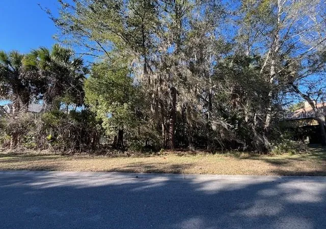 Photo 3 of Land for sale at 1809 SW 29th Street, Ocala, FL 34471 | MLS# OM718240 | Listing updated on 2026-08-29