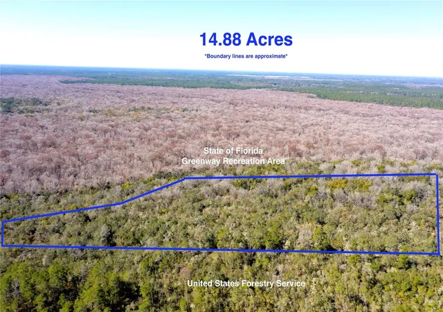 1st image of Tbd Ne 170th Avenue Rd, Silver Springs, FL 34488 | MLS# OM718242