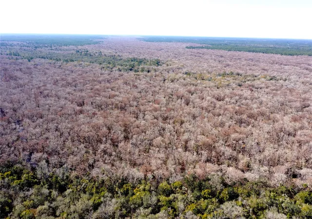 2nd image of Tbd Ne 170th Avenue Rd, Silver Springs, FL 34488 | MLS# OM718242