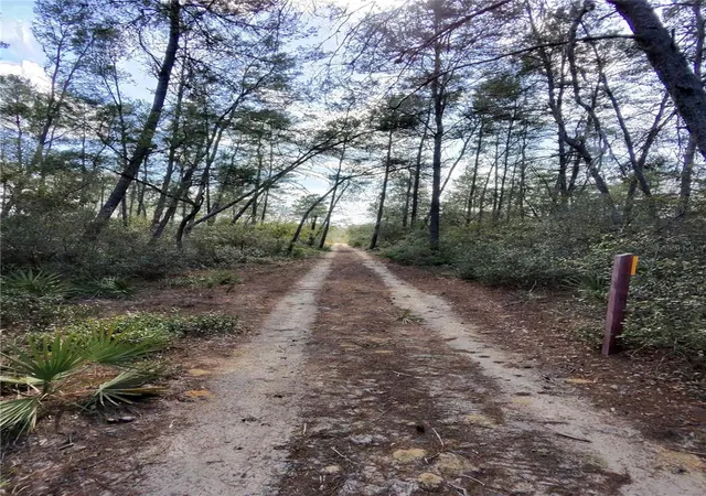 3rd image of Tbd Ne 170Th Avenue Rd, Silver Springs, FL 34488 | MLS# OM718242