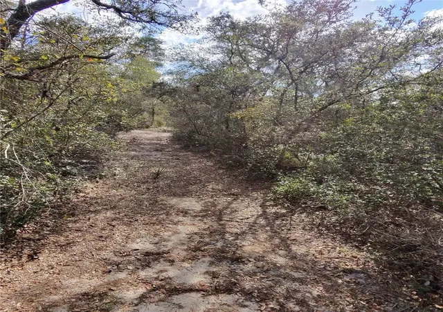 5th image of Tbd Ne 170Th Avenue Rd, Silver Springs, FL 34488 | MLS# OM718242
