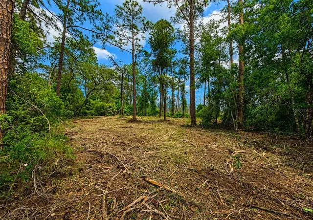 Photo 3 of Land for sale at Melshire Ave, Deltona, FL 32738 | MLS# O6380324 | Listing updated on 2026-07-16
