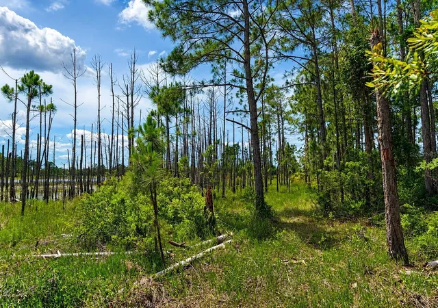 Photo 4 of Land for sale at Melshire Ave, Deltona, FL 32738 | MLS# O6380324 | Listing updated on 2026-07-16