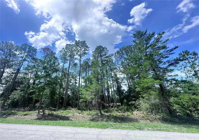 Photo 2 of Land for sale at 107 S Georgetown Point Rd, Georgetown, FL 32139 | MLS# O6380370 | Listing updated on 2026-10-22