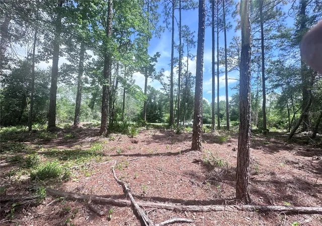 Photo 3 of Land for sale at 107 S Georgetown Point Rd, Georgetown, FL 32139 | MLS# O6380370 | Listing updated on 2026-10-22