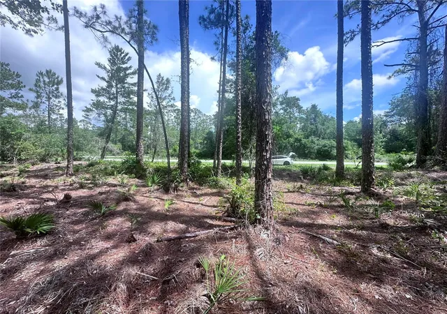 Photo 4 of Land for sale at 107 S Georgetown Point Rd, Georgetown, FL 32139 | MLS# O6380370 | Listing updated on 2026-10-22
