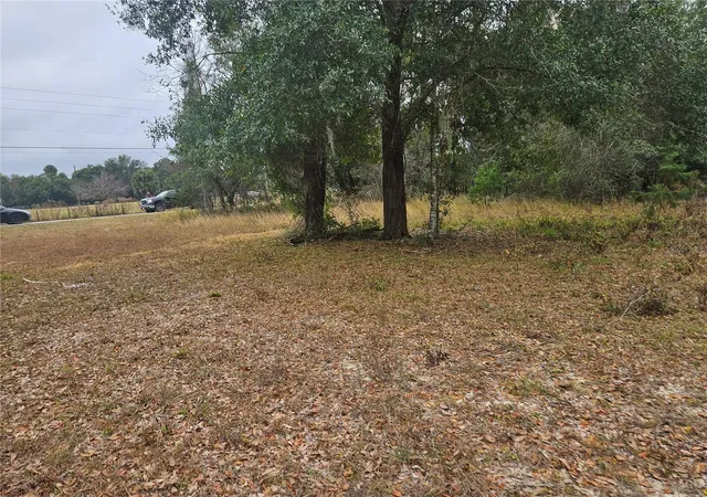 Photo 1 of Land for sale at Southeast Hwy 42, Weirsdale, FL 32195 | MLS# O6380480 | Listing updated on 2026-06-26