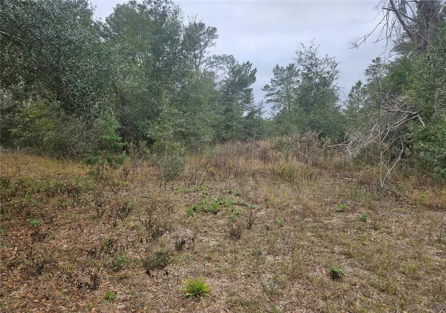 Photo 2 of Land for sale at Southeast Hwy 42, Weirsdale, FL 32195 | MLS# O6380480 | Listing updated on 2026-06-26