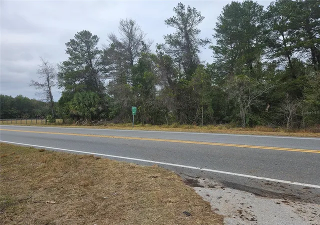 Photo 6 of Land for sale at Southeast Hwy 42, Weirsdale, FL 32195 | MLS# O6380480 | Listing updated on 2026-06-26
