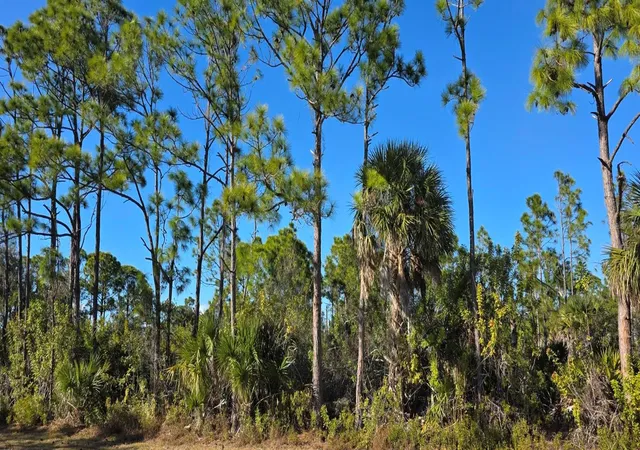 Photo 1 of Land for sale at 12054 Keller Ave, Port Charlotte, FL 33981 | MLS# C7521647 | Listing updated on 2026-02-09