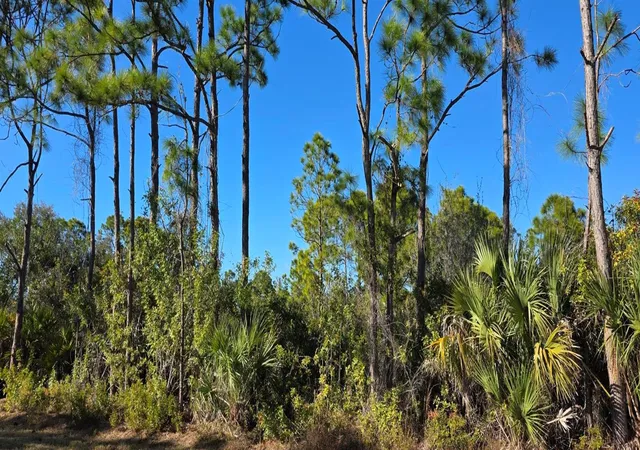 Photo 2 of Land for sale at 12054 Keller Ave, Port Charlotte, FL 33981 | MLS# C7521647 | Listing updated on 2026-02-09