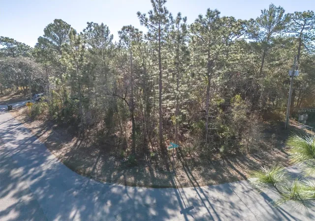 4th image of 30 Bells Of Ireland Ct, Homosassa, FL 34446 | MLS# TB8473962
