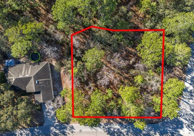5th image of 30 Bells Of Ireland Ct, Homosassa, FL 34446 | MLS# TB8473962