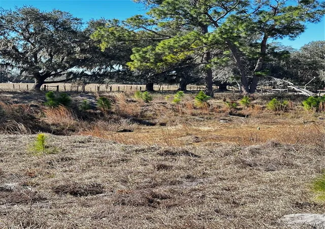 5th image of Cr 707 Rd, Webster, FL 33597 | MLS# TB8473989